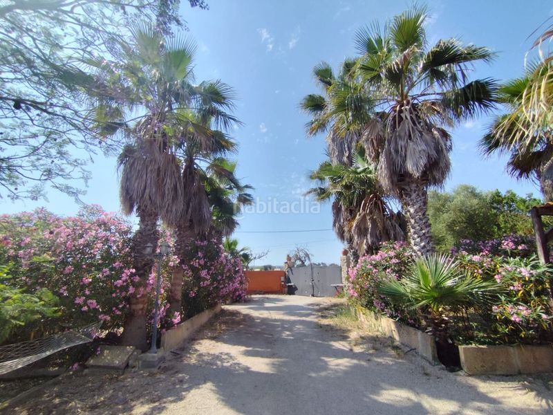 Foto 1a27c2c4-dc84-49fa-9ff3-fb0a36010fcb. Masia a son lluch 313 a Algaida