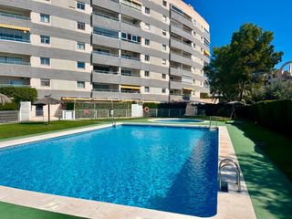 Rent Apartment in Cami del fondo 3. Alquiler temporal de septiembre a junio en el campello — urbaniz