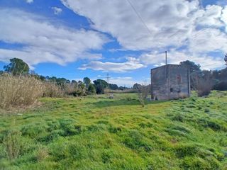 Finca rústica en Cami de la pedrera del cobic 43. Casita de 45 m2, a  5 minutos de reus