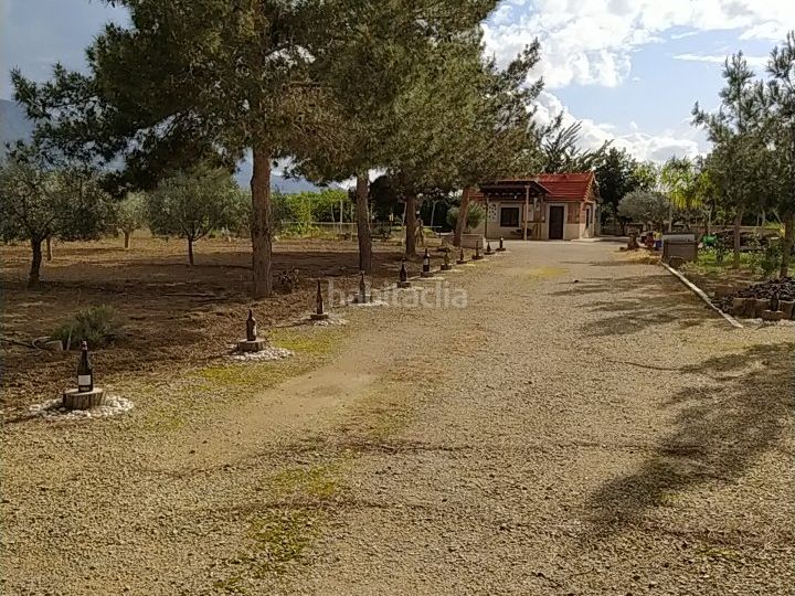 Foto 76684a93-8609-4826-9875-6129904397a9. Country house in campa palacios 1 in Librilla