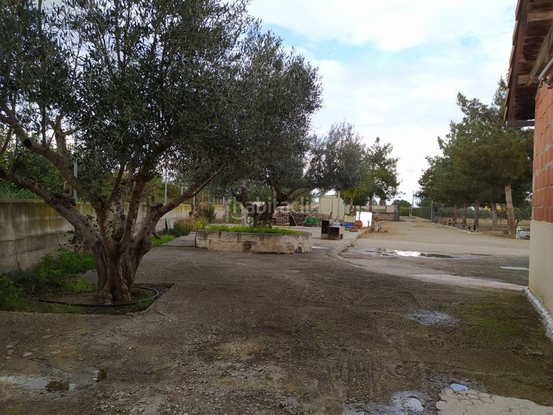 Foto cccb94d4-b68a-4683-b676-da4d81ffd0f8. Country house in campa palacios 1 in Librilla