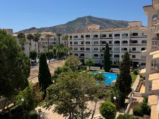 Alquiler Apartamento en Avenida óscar esplá  15. Fantástico apartamento en el albir