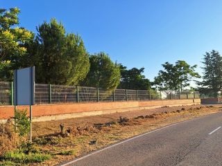 Rural plot in Camino alto de tudela de duero 413. Finca de recreo a 7 metros del casco urbano.