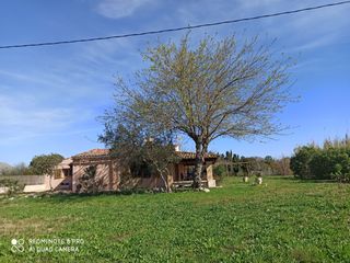 Rent Country house in Vicente buades 36. Finca tranquila, a 300 metros de la bahía