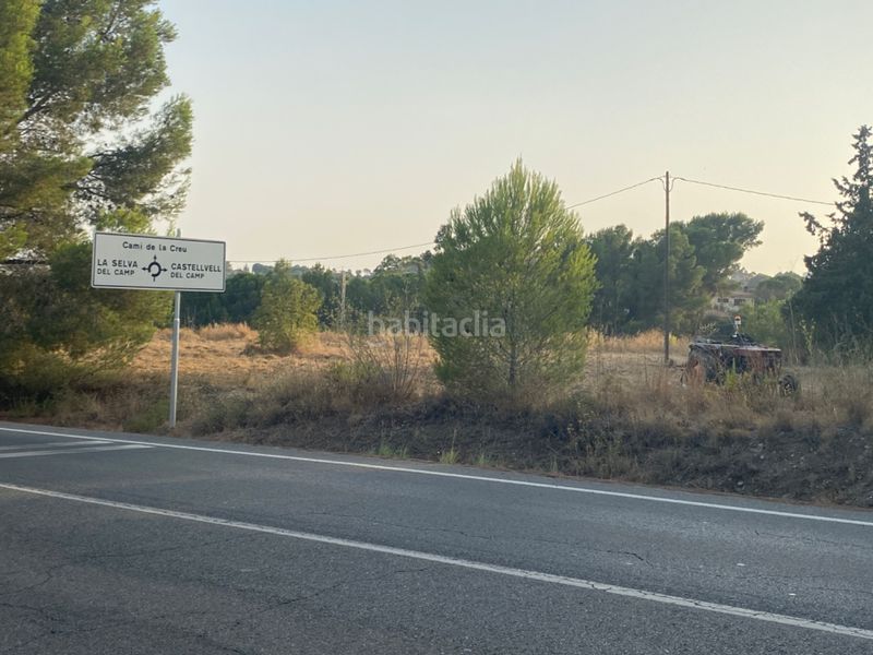 Foto 56b7fe89-72ee-4d99-8f66-4024f3de986a. Finca rústica a tv-7048 4 a Almoster