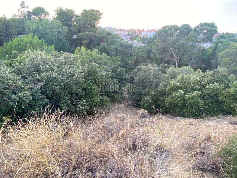 Foto 66f95a56-917a-4689-b7dd-f64210a0d07a. Finca rústica a tv-7048 4 a Almoster