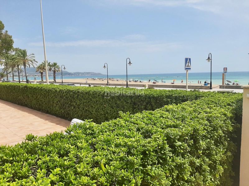 Foto a65f2fc4-002b-46b7-9502-2c59d7cb1854. Alquiler ático en avenida ferrandis salvador 260 ático de ensueño en primera línea de playa en benicàssim en Benicasim / Benicàssim