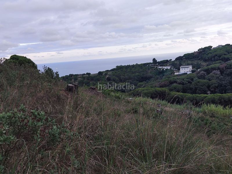 Foto e739bc97-16b0-4131-a861-32467574c459. Wohngrundstück in carrer del riu besòs 9 in Urbanitzacions Mataró