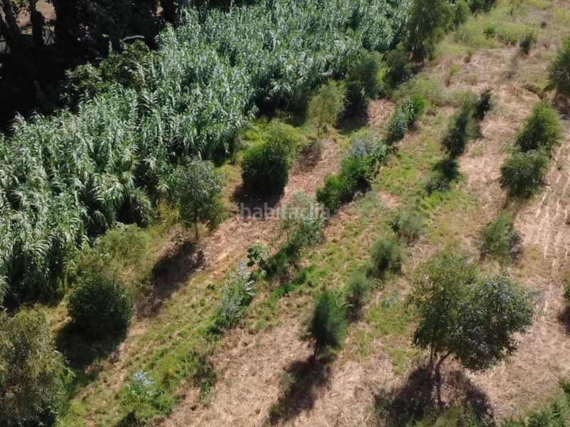 Foto 3f2912b4-de8b-480b-bb2d-6859e69ab42c. Finca rústica en diseminado despoblado 2 terreno rústico con agua y plantación agroforestal en Empuriabrava