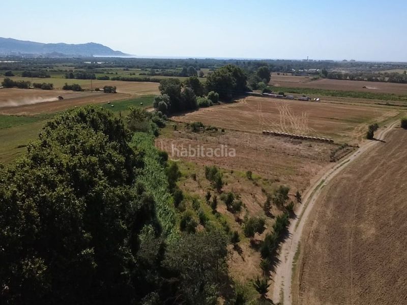 Foto 8bbeec5b-eb6e-4391-825b-1ec5a6398849. Finca rústica en diseminado despoblado 2 terreno rústico con agua y plantación agroforestal en Empuriabrava