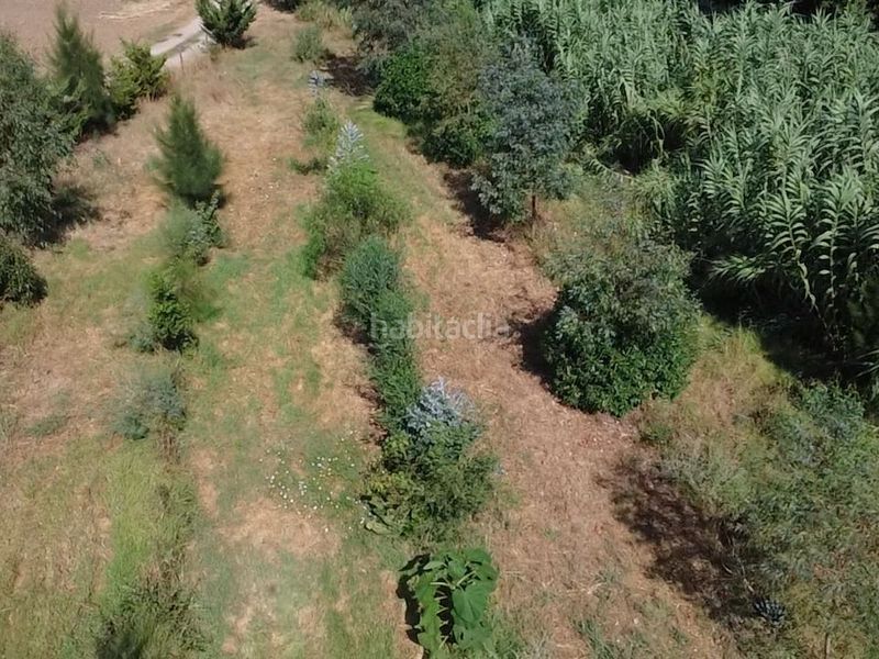 Foto 92f48515-ac86-46a6-80c6-dc8b823e9c80. Finca rústica en diseminado despoblado 2 terreno rústico con agua y plantación agroforestal en Empuriabrava