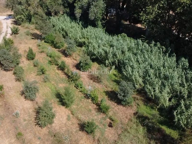 Foto a62dadcc-ccec-4fb2-976d-4c122af47786. Finca rústica en diseminado despoblado 2 terreno rústico con agua y plantación agroforestal en Empuriabrava