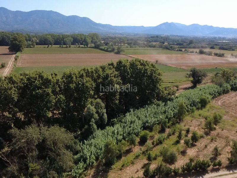 Foto ab942dfd-873a-4bef-a40b-e2adac458268. Finca rústica en diseminado despoblado 2 terreno rústico con agua y plantación agroforestal en Empuriabrava