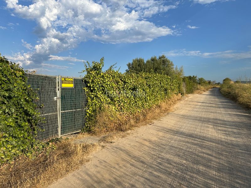 Foto 36023e21-5df3-4d4d-9674-3a8c2deb5418. Finca rústica a camí de ripollet a castellar 162c a Sabadell