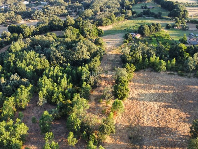 Foto 24d1edb3-133d-432f-b37d-4f653359d0f8. Finca rústica a vadoconejo 15 a Candeleda