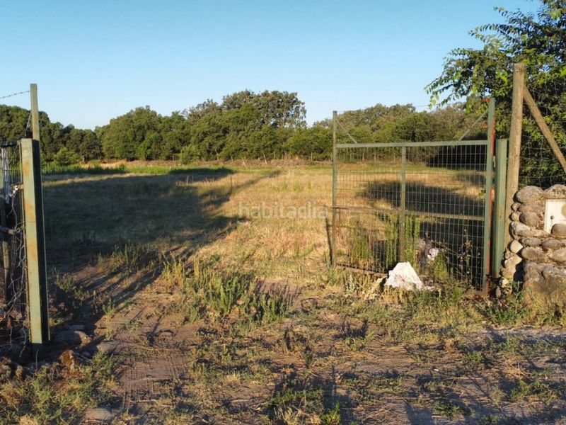 Foto dfdb7b36-af63-40bd-970b-fb0f4b7a0921. Finca rústica a vadoconejo 15 a Candeleda