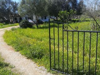 Chalet en Avinguda de cala blanca 20a. Casa en el campo a 1 km de la playa de cala blanca, con mucho te