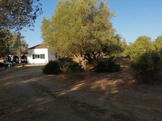 Masia a Avinguda de cala blanca 20a. Casa en el campo a 2 km de la playa de cala blanca, con mucho te