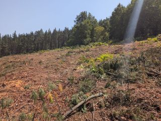 Lloguer Finca rústica a Ibarra bidea 18. Terreno rustico en gordexola