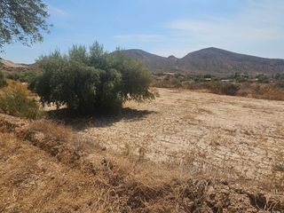Fondo rustico in Trozo del raco la alcoraya 1. Terreno rustico en la alcoraya