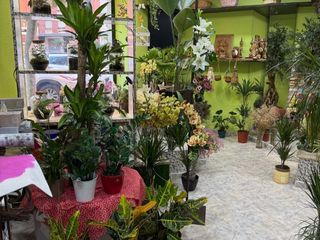 Traspàs Local Comercial a Polo y peyrolon  20. Traspaso floristería 30 años de actividad