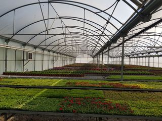 Finca rústica a Avinguda àngel planet 4. Finca rustica con invernaderos