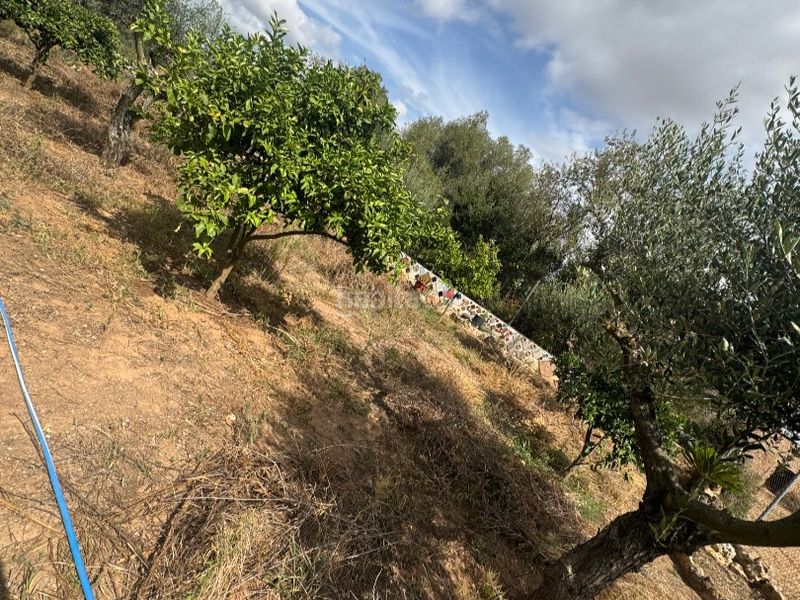 Foto 54e8f752-6735-4487-88c5-ff86af741c5a. Finca rústica a carretera 0 a Santa Oliva