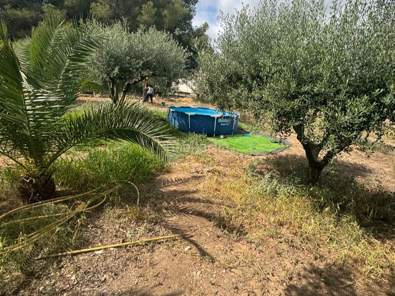 Foto 583b7c55-6e90-432e-bb74-5e56d14a76a4. Finca rústica a carretera 0 a Santa Oliva