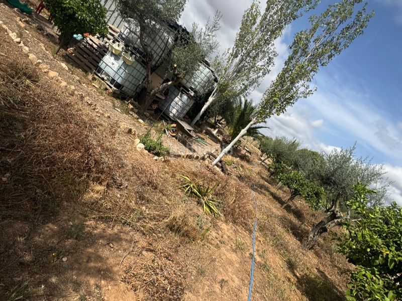 Foto a03a80a1-cd47-4bec-8520-8e5f27a66a49. Finca rústica a carretera 0 a Santa Oliva