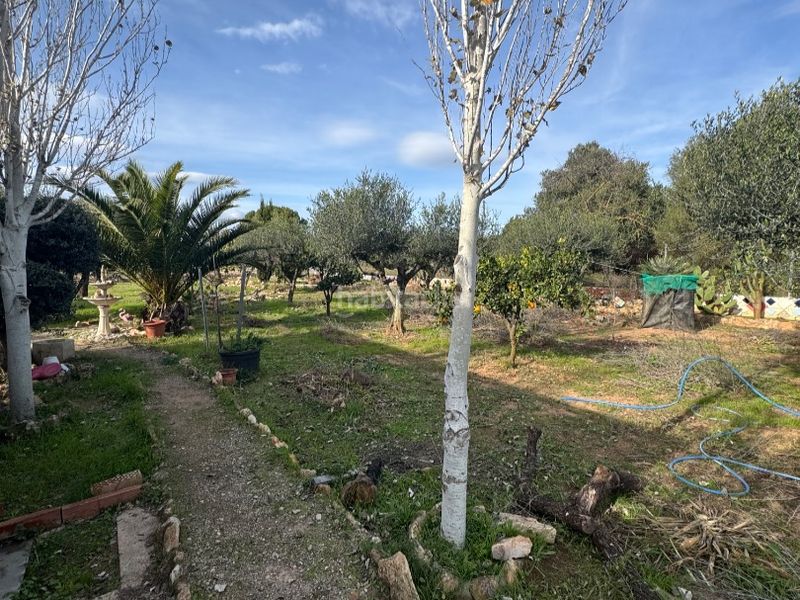 Foto be994770-8d04-4b34-8613-d502c48ea84b. Finca rústica a carretera 0 a Santa Oliva