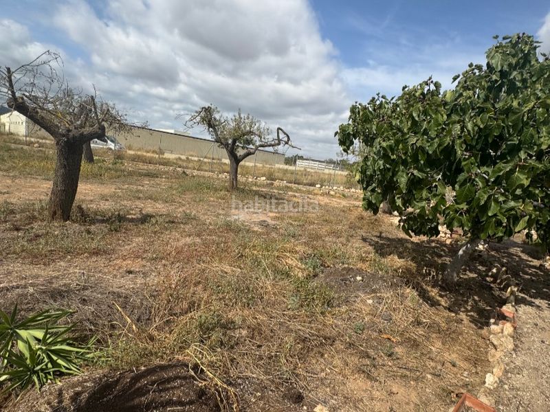 Foto d3ca831b-a5e7-4e50-884c-a4c2dd73f8c3. Finca rústica a carretera 0 a Santa Oliva