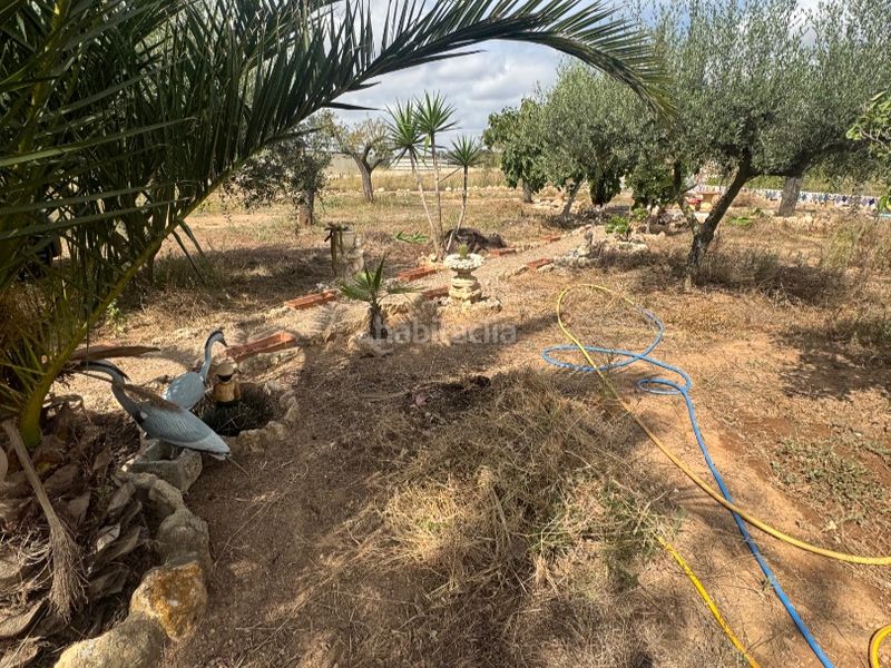 Foto fd32fb6f-5386-4a94-bce3-3def517382e3. Finca rústica a carretera 0 a Santa Oliva