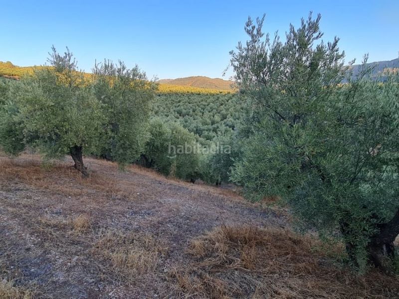 Foto f967bbfe-d0e7-4254-8cc3-d9bc944bdf26. Finca rústica a a-6301 61 a Beas de Segura