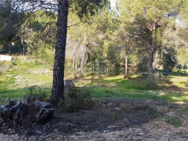 Foto 9198c1c1-ff4a-4559-a96a-1b511c6f2d89. Finca rústica a la trompeta parcela 123 a Beas