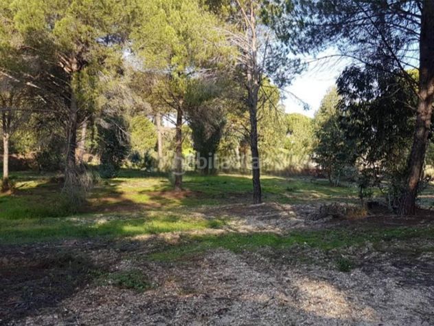 Foto e6e19944-beac-49bc-b7b0-551f3e9cfe32. Finca rústica a la trompeta parcela 123 a Beas