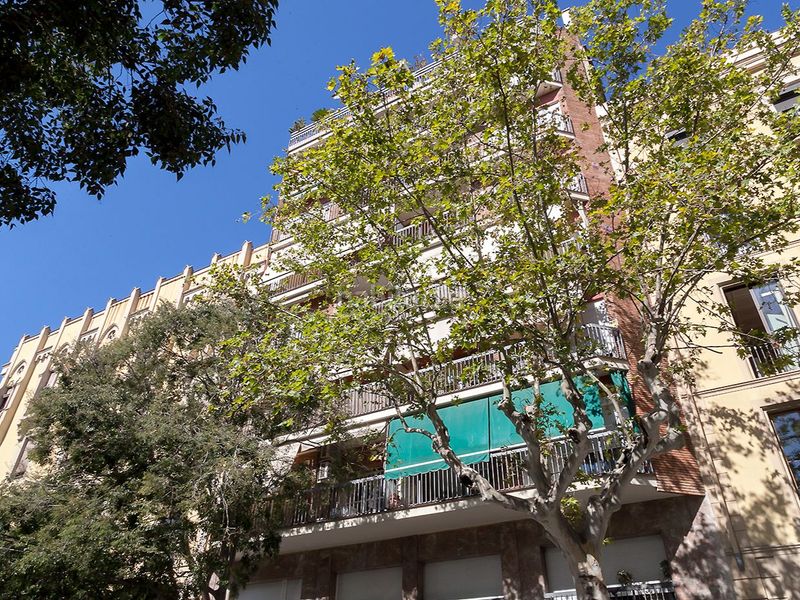 Foto a76a9f01-0a18-471f-8a2f-38456a510cf7. Pis a Dreta de l´Eixample Barcelona