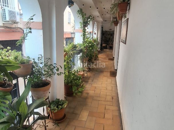 Foto 6afac367-d153-490e-a86b-10ae6f0f867c. Duplex in calle torreblanca 1 in San Gil Sevilla