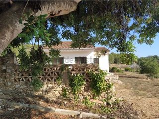 Finca rústica a Cami pedrera 4. Terreny en venda a camí pedrera, 4