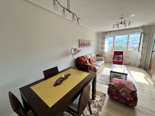 Rent Flat in Paseo del ferrocarril  11. Alquiler gran piso luminoso bien situado 3 habitaciones 2 baños
