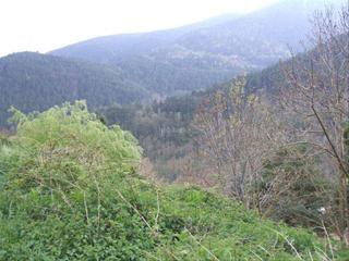 Residential Plot in Carrer santa anna 18