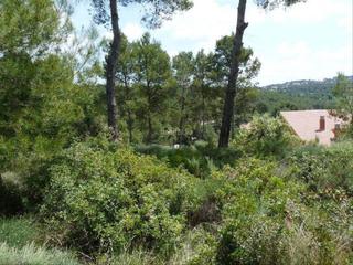 Terreny residencial a Costat esglesia s/n
