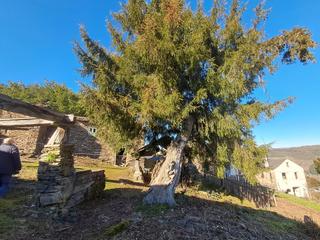 Casa a Fonsagrada (A)