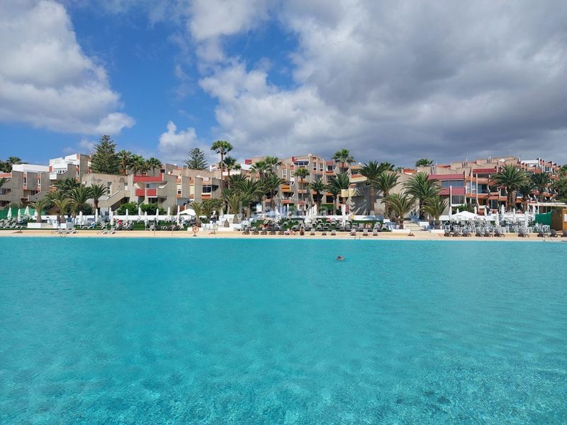 Foto cc70caa0-29fb-41a8-92e8-b11780a794c9. Pis amb piscina a Costa del Silencio Arona