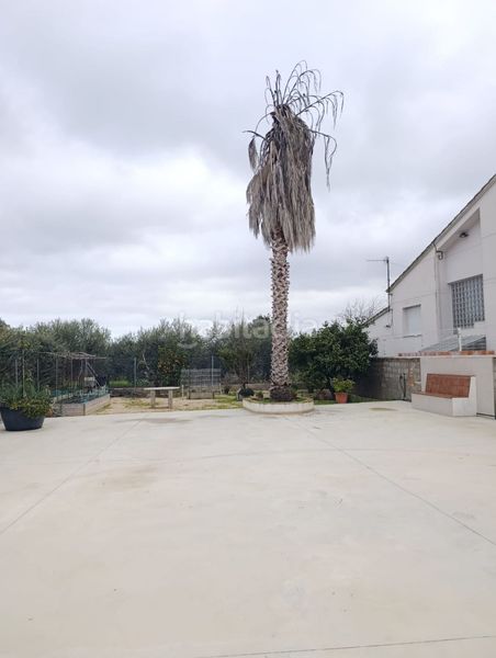 Foto 838ec976-8a18-4a3e-b6f1-ba6e7e1c89e7. Casa amb aparcament a Deltebre