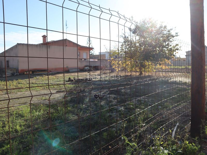 Foto a16d71ed-134e-48a2-818e-a131ad889b1e. Terreny residencial a Deltebre