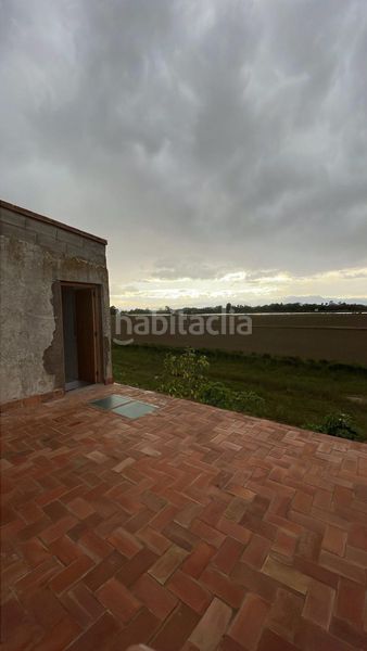 Foto 5cb76422-6426-44d1-903e-9ab3c9a782ba. Masia a Eucaliptus - Poble Nou del Delta Amposta