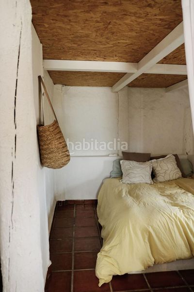 Foto b5365758-5cdd-4bc7-8460-5002a8076ca0. Masia a Eucaliptus - Poble Nou del Delta Amposta