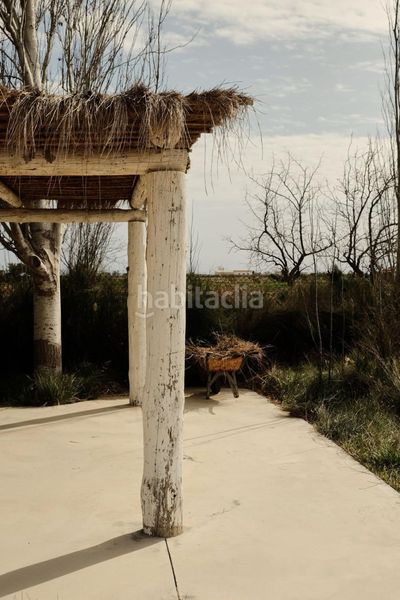 Foto cde309b7-6439-4cff-88bc-acc3f61f49b0. Masia a Eucaliptus - Poble Nou del Delta Amposta
