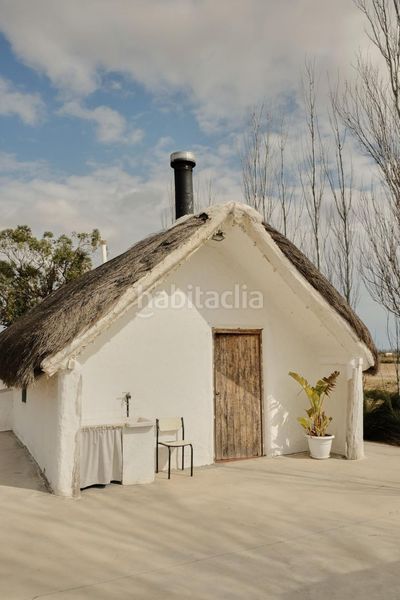 Foto da00e30e-8364-4492-aeba-edb14167a433. Masia a Eucaliptus - Poble Nou del Delta Amposta