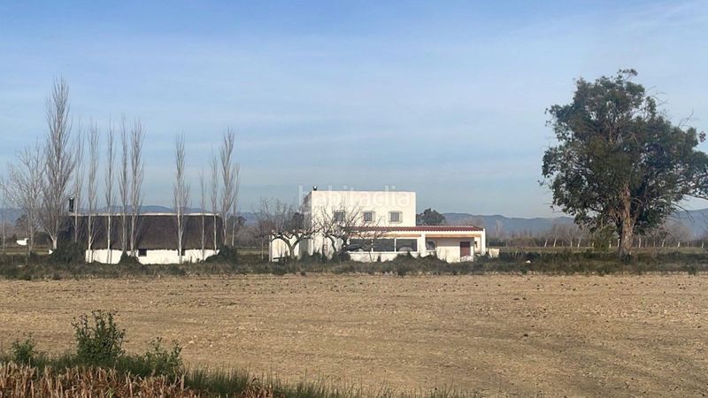 Foto fd3b0ac2-f849-407b-b08d-16930733dce5. Masia a Eucaliptus - Poble Nou del Delta Amposta